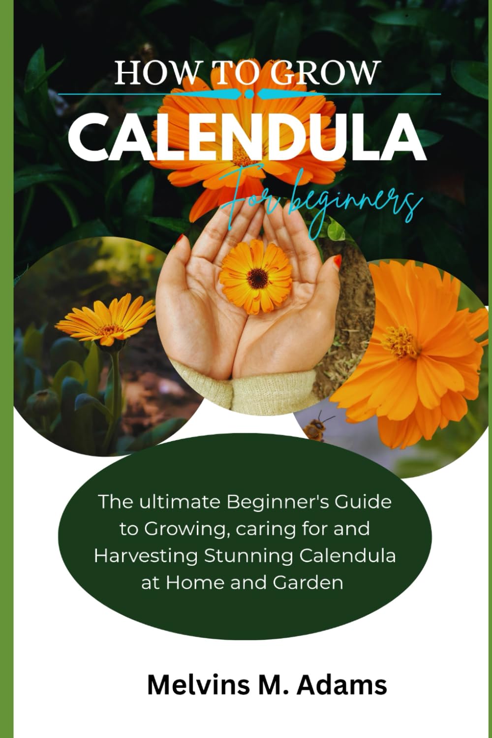 capítulo por capítulo baixar How to grow Calendula flower for beginners: The Ultimate Beginner’s Guide to Growing, Caring for, and Harvesting Stunning Calendula at Home and garden