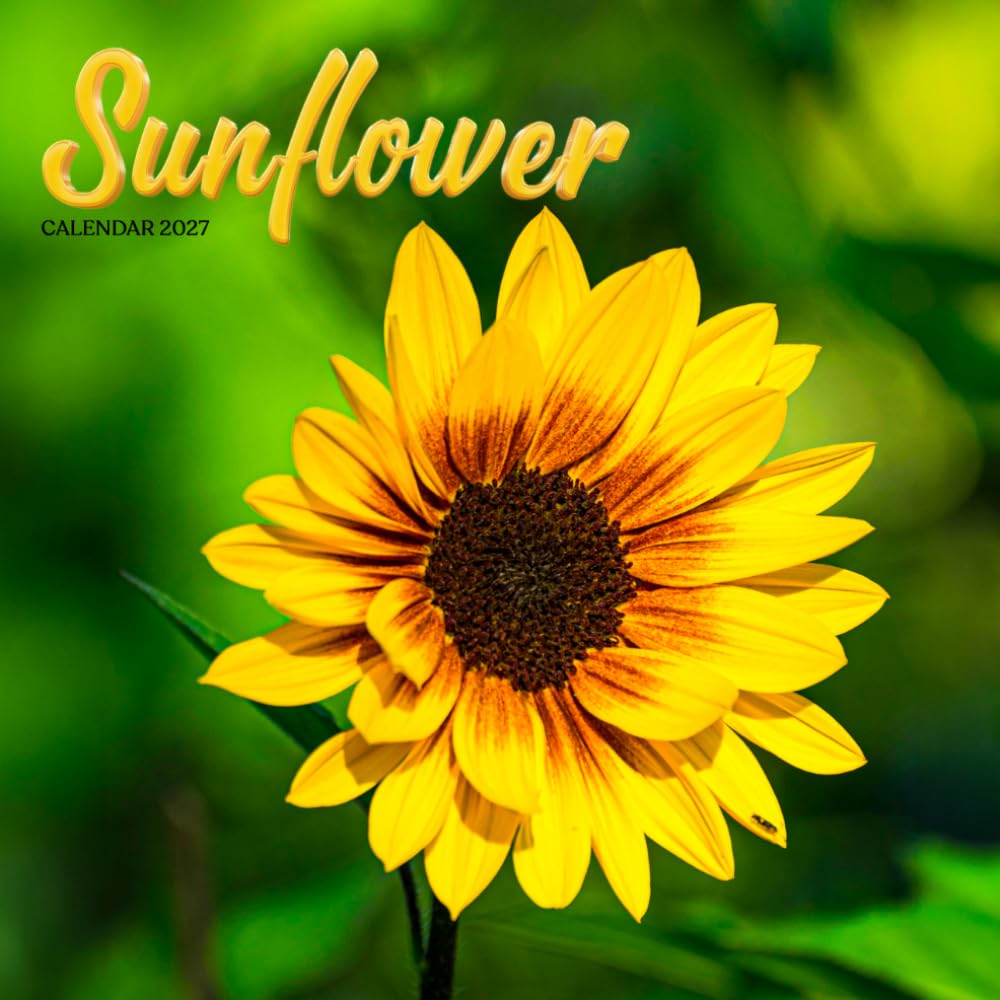 Sunflower Calendar 2027: Garden Flowers and Floral Scenes