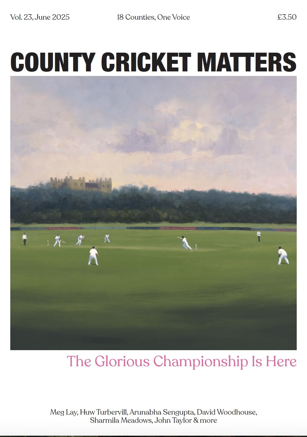 capítulo por capítulo baixar County Cricket Matters: Vol 23 (English Edition)