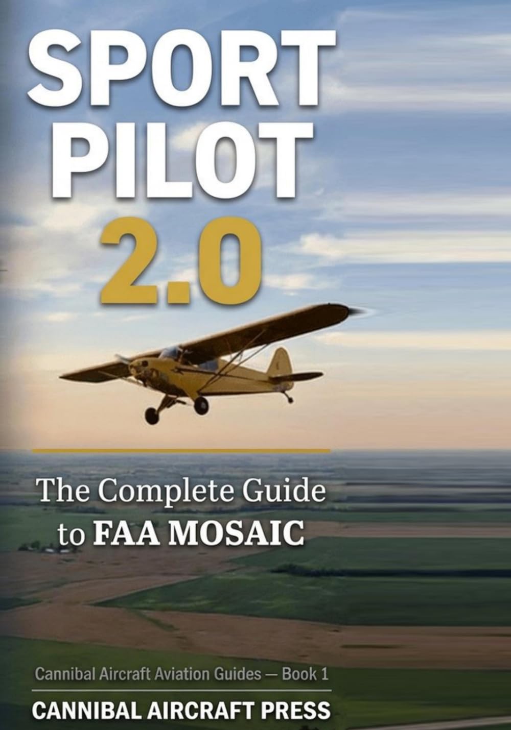 capítulo por capítulo baixar SPORT PILOT 2.0: The Complete Guide to FAA MOSAIC — Aircraft Eligibility, Endorsements, Training, and the Future of Sport Aviation (Cannibal Aircraft Aviation Guides)