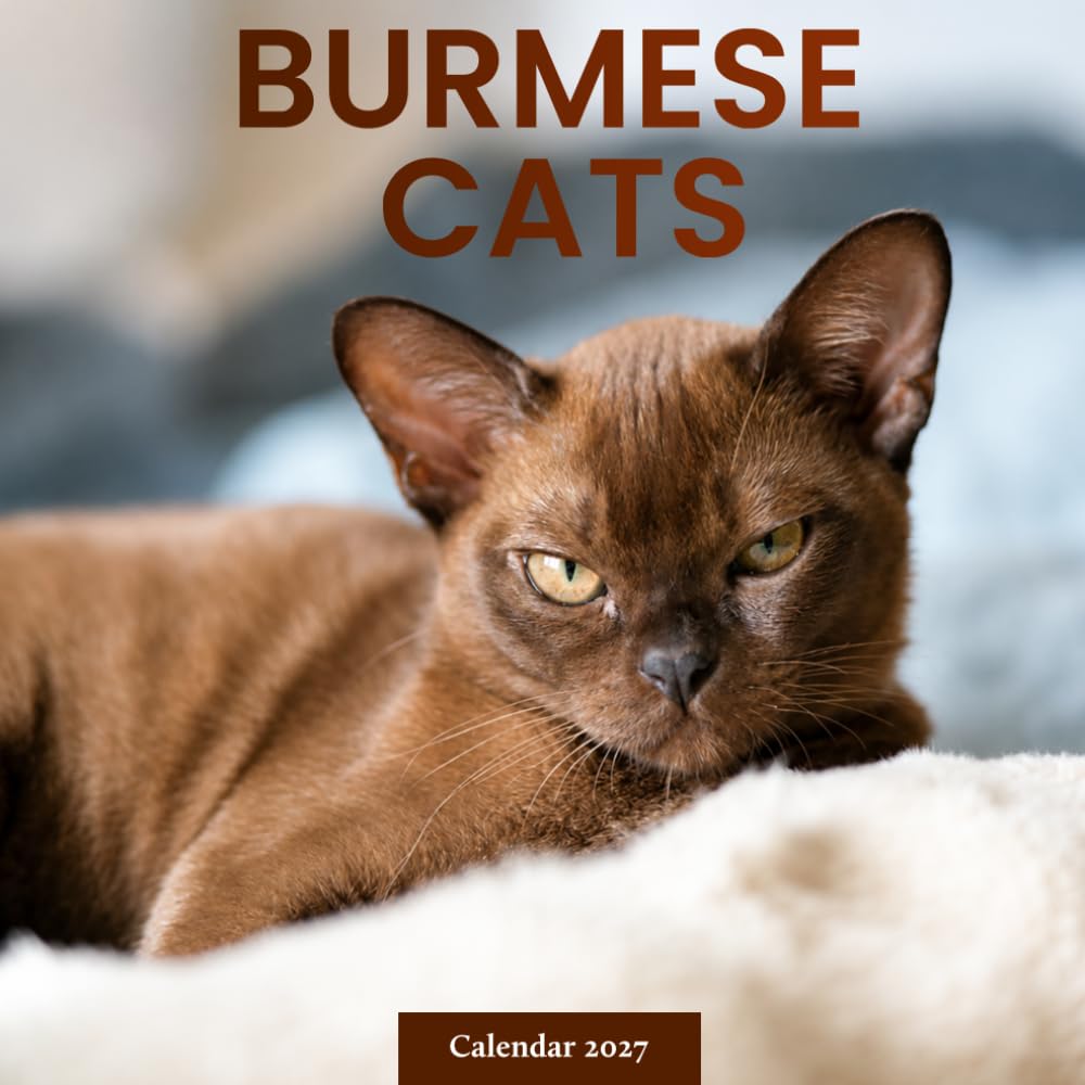 Burmese Cats Calendar 2027: Burmese Cat Photography