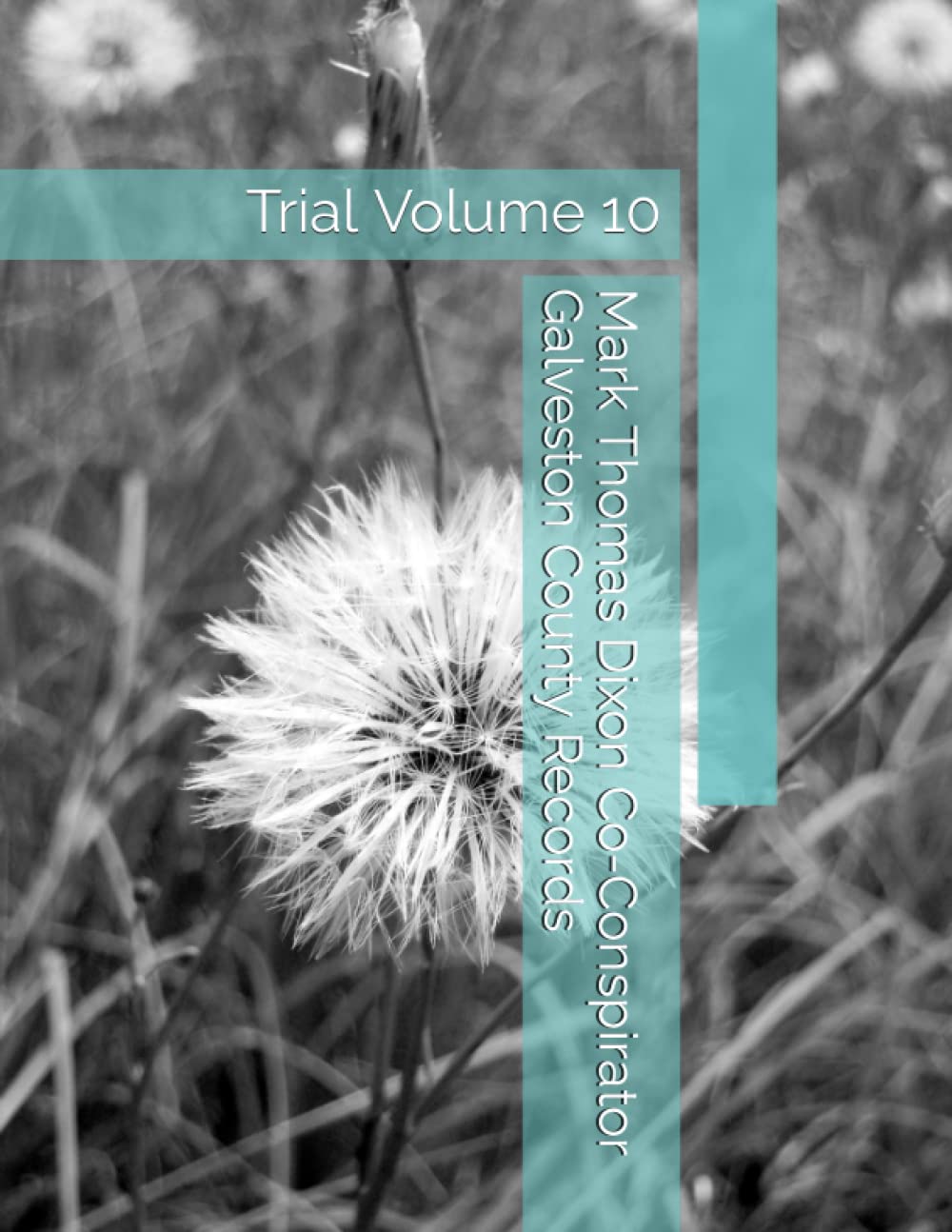 Mark Thomas Dixon Co-Conspirator Galveston County Records: Trial Volume 10 (Barbara Holder Trial Records) baixar livro de graça