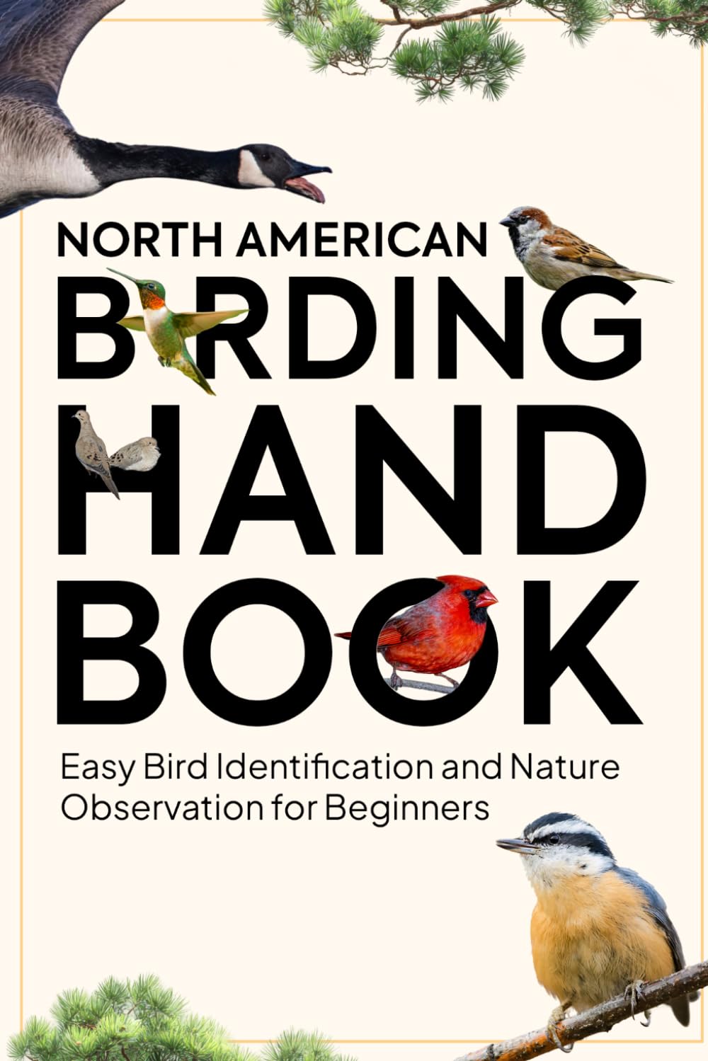 North American Birding Handbook: Easy Bird Identification and Nature Observation for Beginners baixar o livro de graça