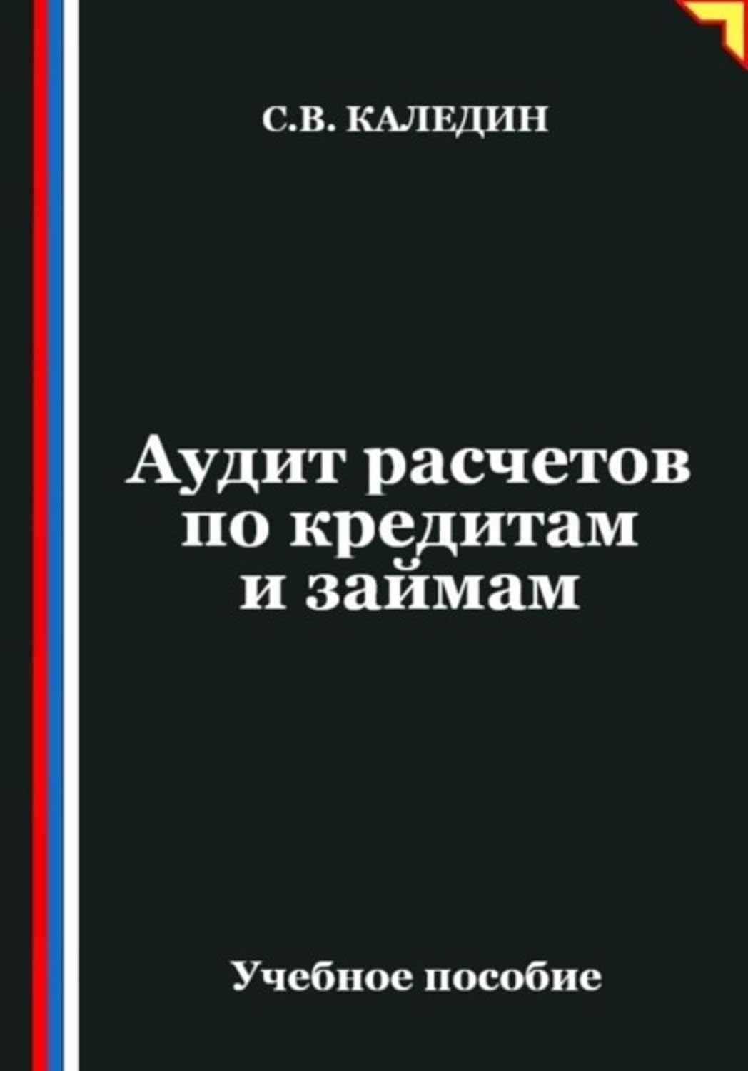 Аудит расчетов по кредитам и займам (Russian Edition) baixar o livro de graça