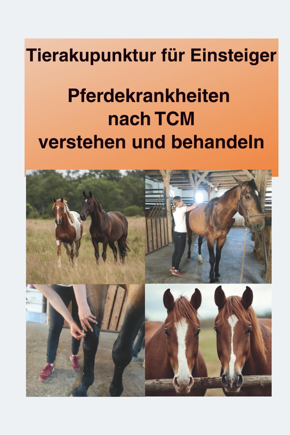 ler totalmente Tierakupunktur für Einsteiger: Pferdekrankheiten nach TCM verstehen und Behandeln