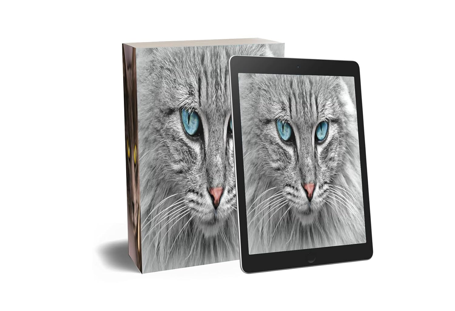 capítulo por capítulo baixar Como treinar seu gato