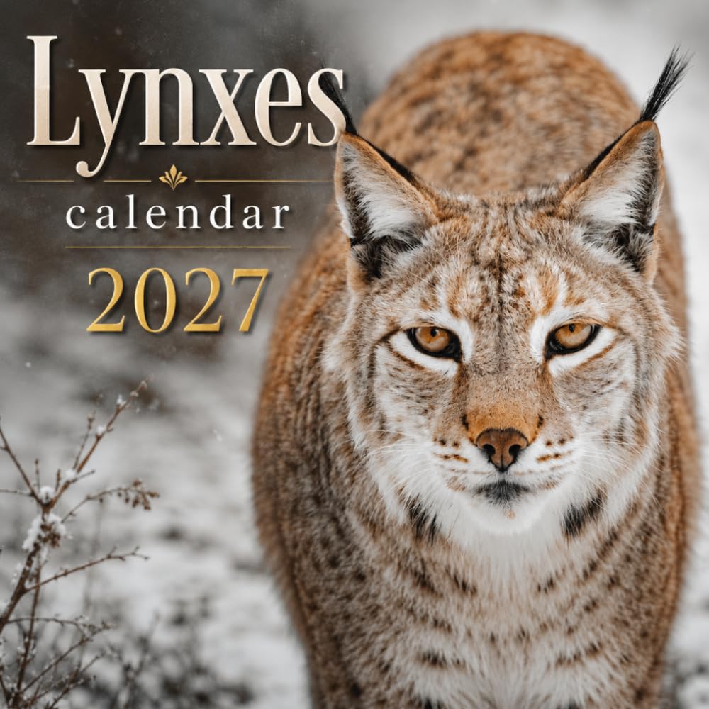 Lynxes Calendar 2027: Wild Cat Photography baixar livro de graça