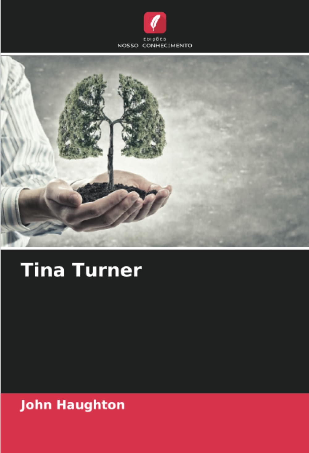 Tina Turner baixar livro de graça