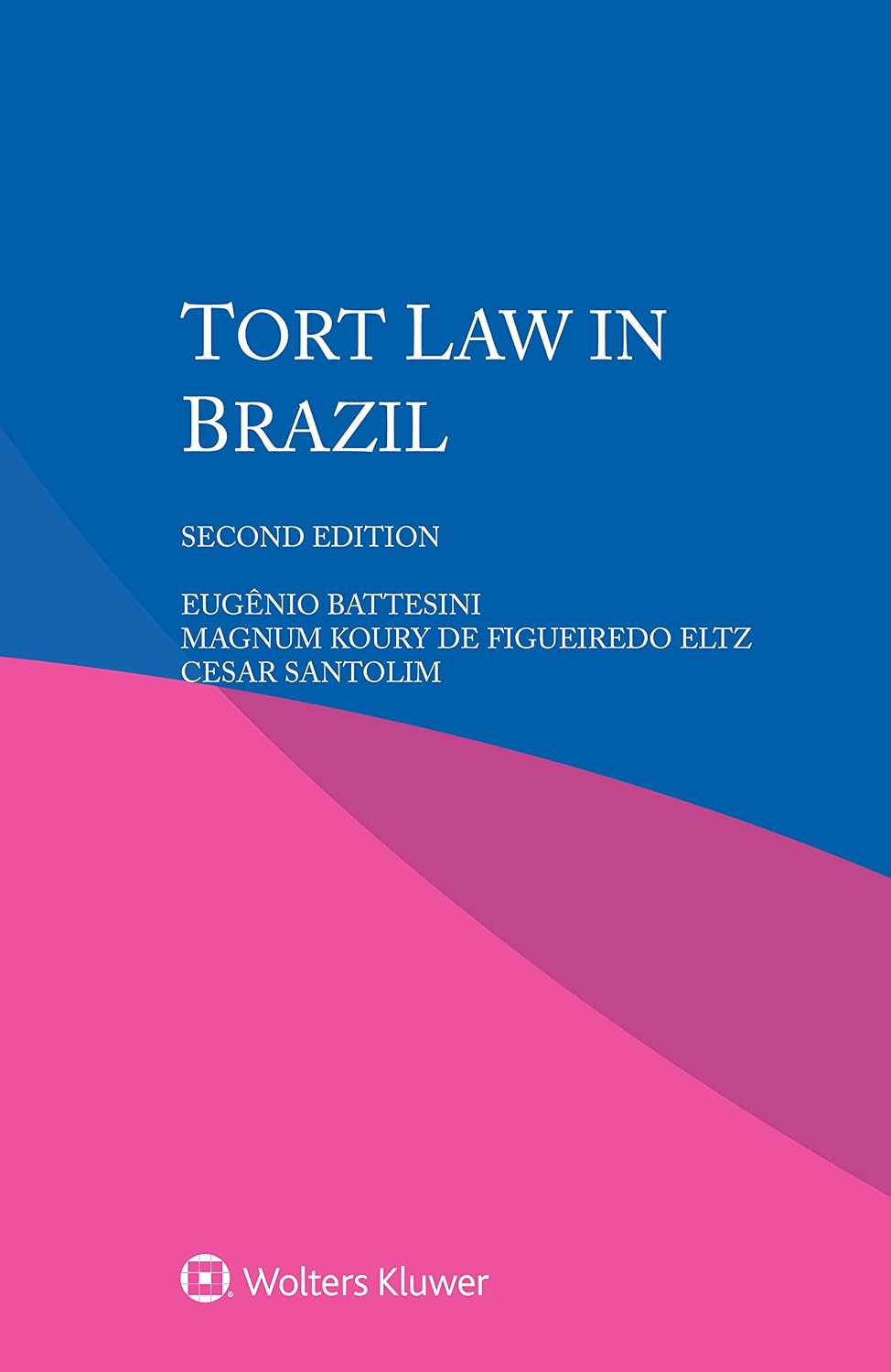 Tort Law in Brazil (English Edition)