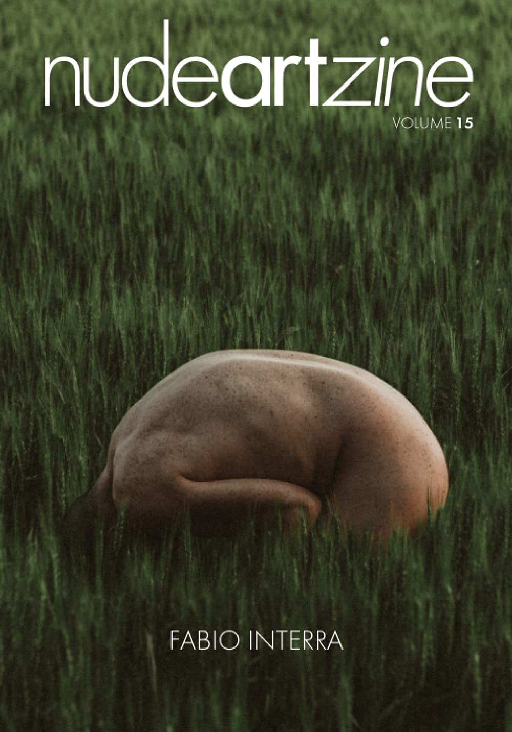 capítulo por capítulo baixar nudeartzine volume 15: Fabio Interra