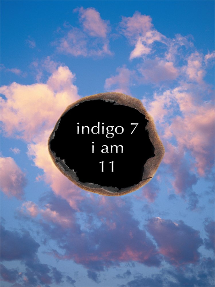 Indigo 7: I Am (English Edition) baixar o livro de graça