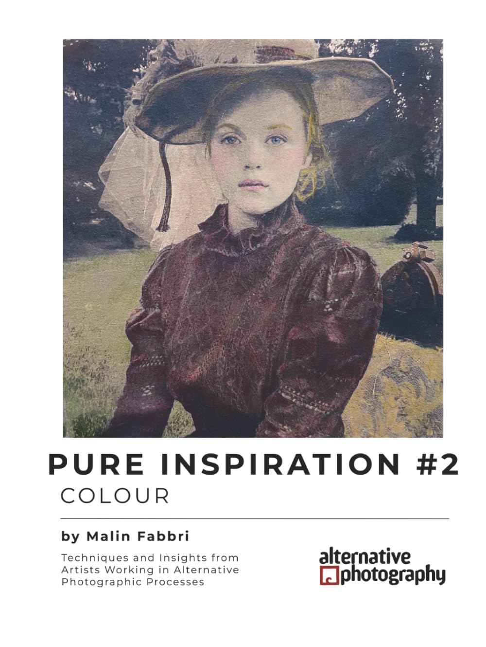 ler totalmente Pure Inspiration #2: Colour: Techniques and Insights from Artists Working in Alternative Photographic Processes (Inspiration for Alternative... gum bichromates, platium prints and more)