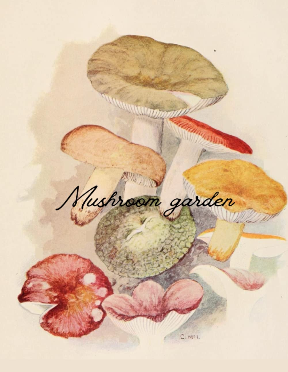Mushroom garden: 80 pages lined mushroom notebook || Vintage design with inside drawings || Great for school, work or travel baixar o livro de graça