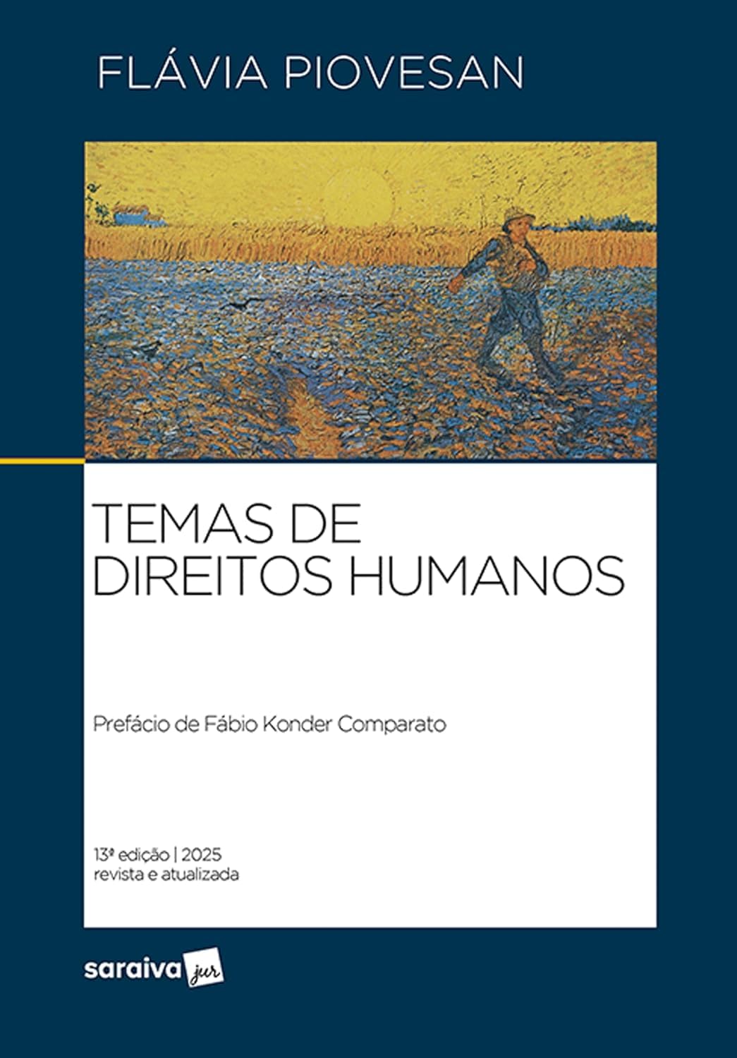 capítulo por capítulo baixar Temas de Direitos Humanos - 13ª Edição 2025