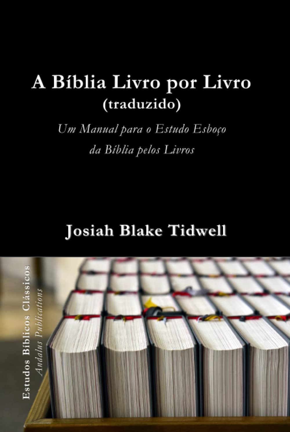 A Bíblia Livro por Livro (traduzido): Um Manual para o Estudo Esboço da Bíblia pelos Livros (Estudos Bíblicos Clássicos) baixar livro de graça