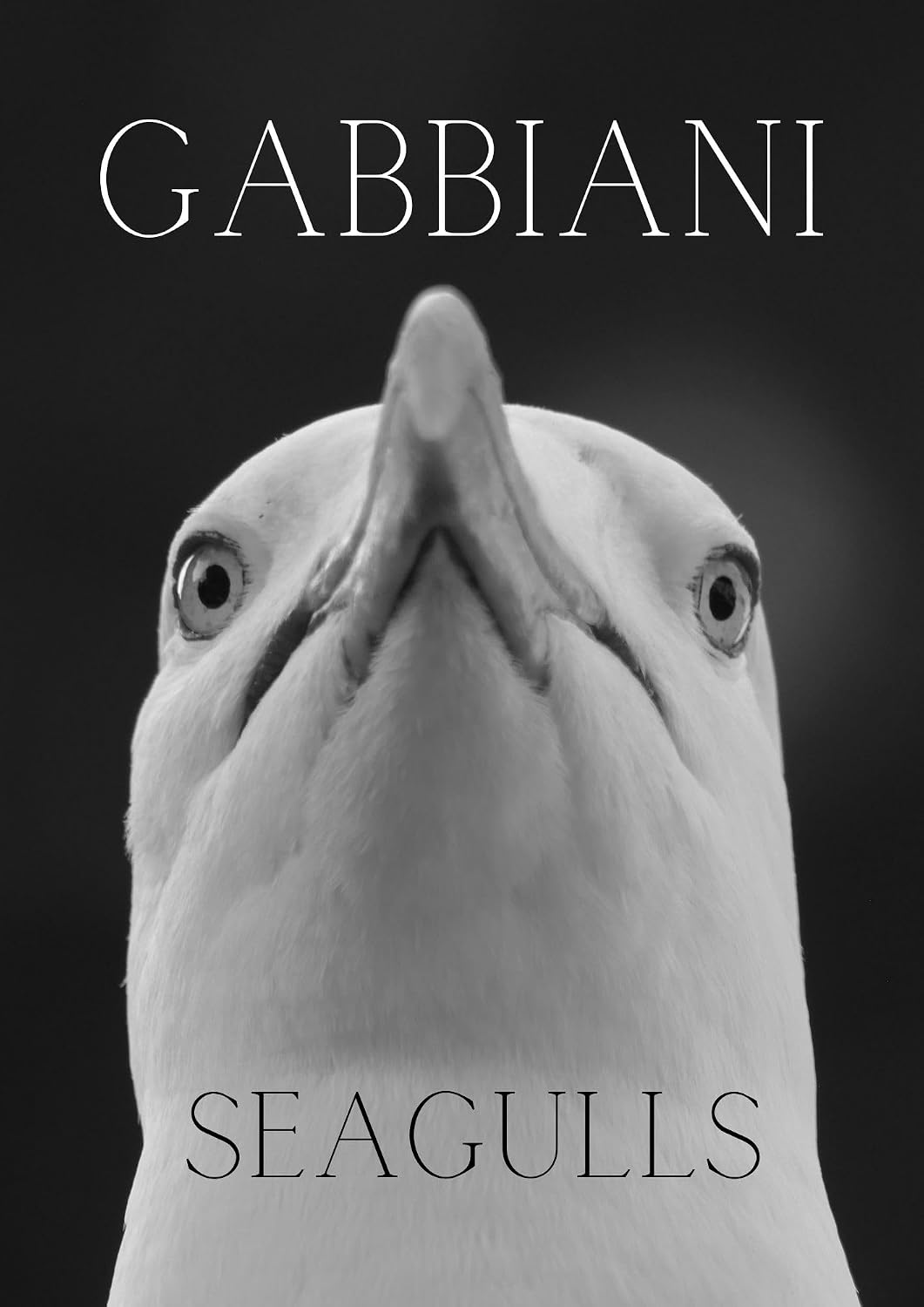 ler totalmente Gabbiani, Libro fotografico di Gabbiani - Seagulls, Photographic book by Seagulls: Nel Volo dei Gabbiani: Un Viaggio Fotografico tra Cielo e Mare - Libro fotografico di Gabbiani (Italian Edition)