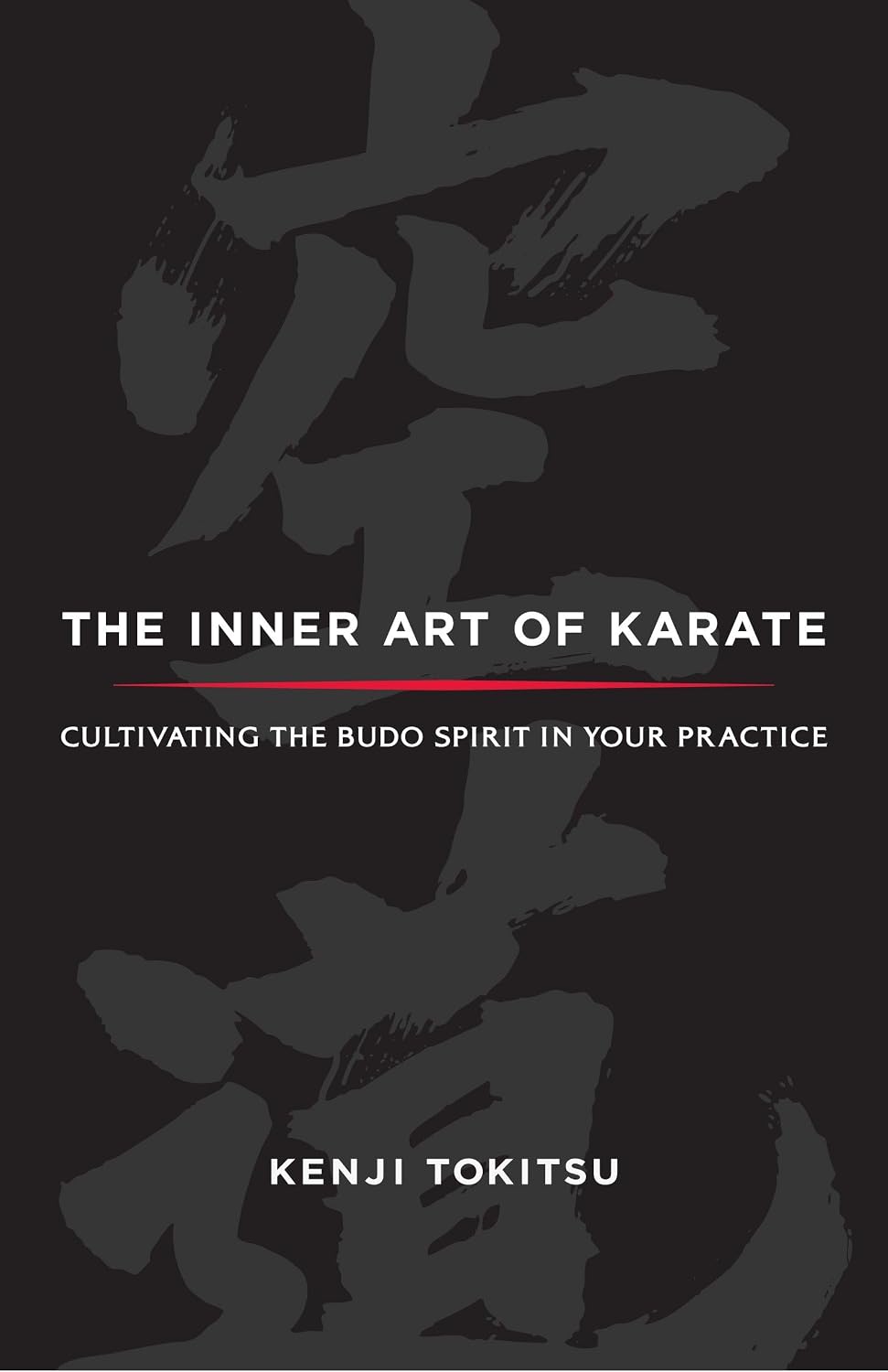 ler totalmente The Inner Art of Karate: Cultivating the Budo Spirit in Your Practice
