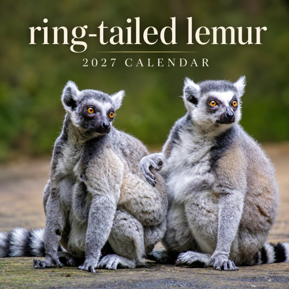 Ring-tailed Lemur Calendar 2027: Primate Wildlife Photography