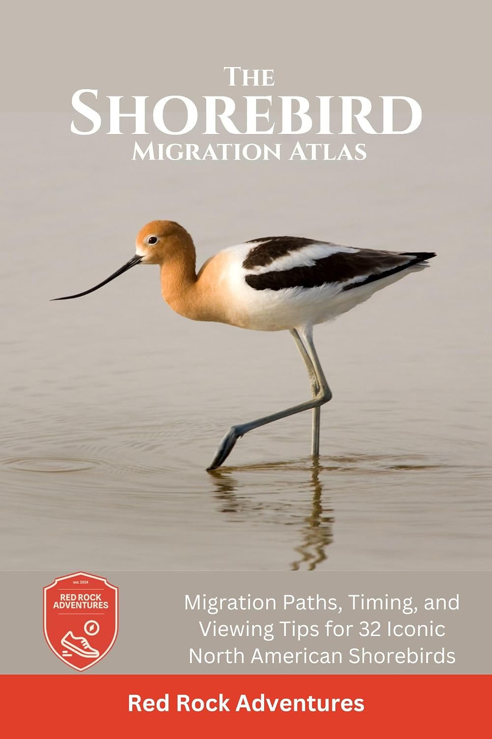 The Shorebird Migration Atlas: Migration Paths, Timing, and Viewing Tips for 32 Iconic North American Shorebirds (English Edition) baixar o livro de graça