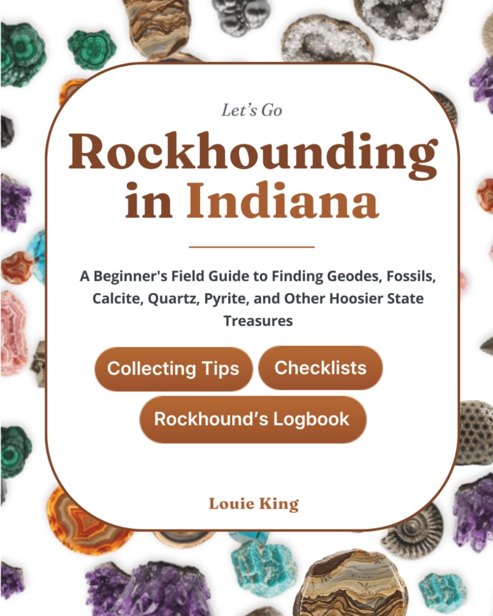 Let's Go Rockhounding in Indiana: A Beginner's Field Guide to Finding Geodes, Fossils, Calcite, Quartz, Pyrite, and Other Hoosier State Treasures —... Tips, Checklists, and a Rockhound's Logbook baixar o livro de graça