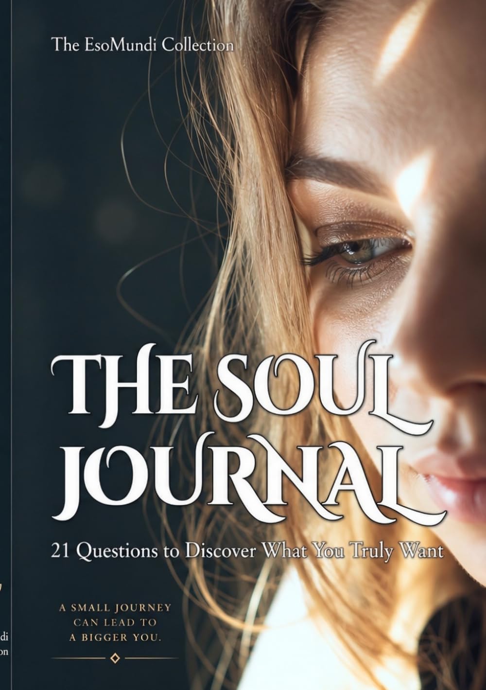 THE SOUL JOURNAL: 21 Questions to Discover What You Truly Want baixar o livro de graça