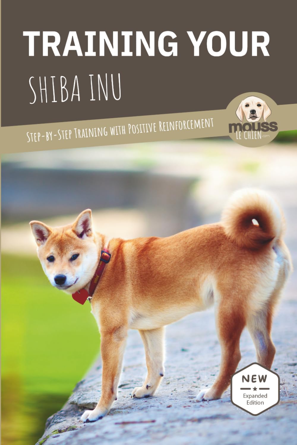 capítulo por capítulo baixar Training Your Shiba Inu: Step-by-Step Training with Positive Reinforcement