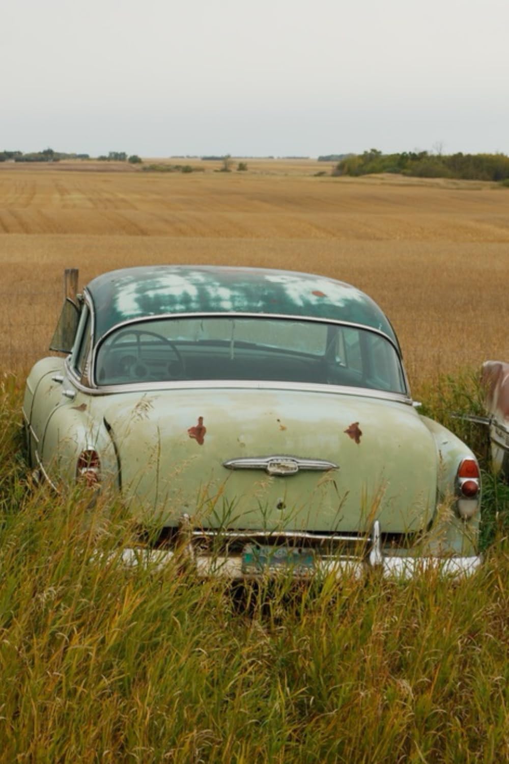 The Prairie Collection: Vintage Cars - Abandoned. Notebook, (Journal, Diary). 6x9 inch, 120 pages. baixar livro de graça