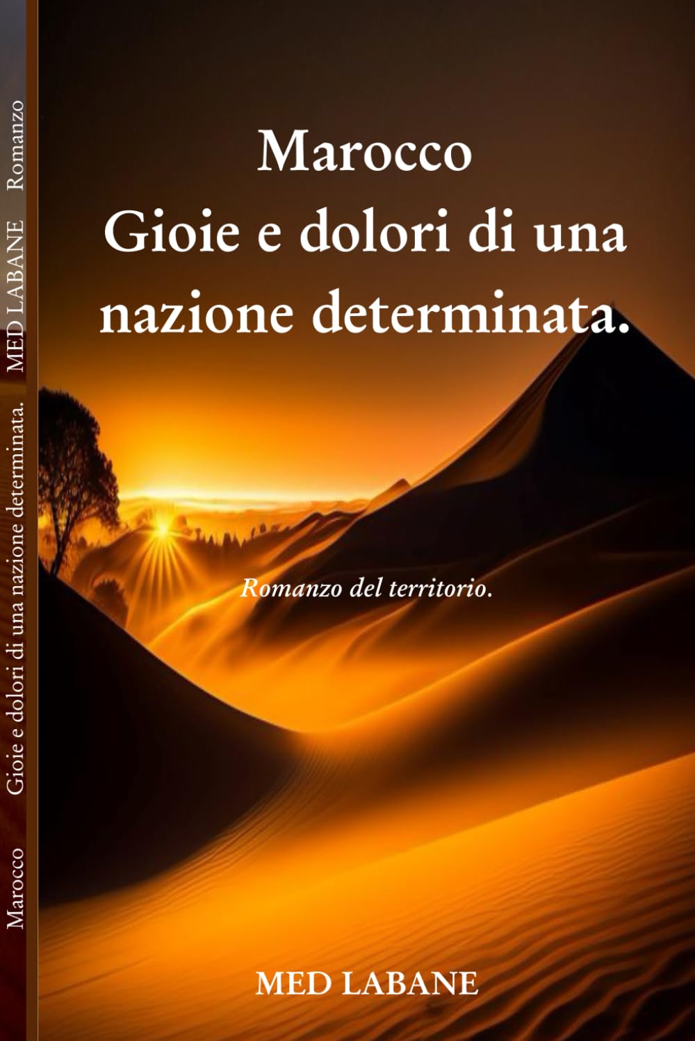 Marocco Gioie e dolori di una nazione determinata.: Gioie e dolori di una nazione determinata. baixar livro de graça