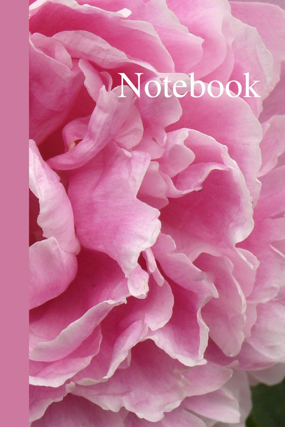 capítulo por capítulo baixar Notebook: Pink Rose, Original Art Photograph Cover, 120 Lined Pages, 6" x 9"