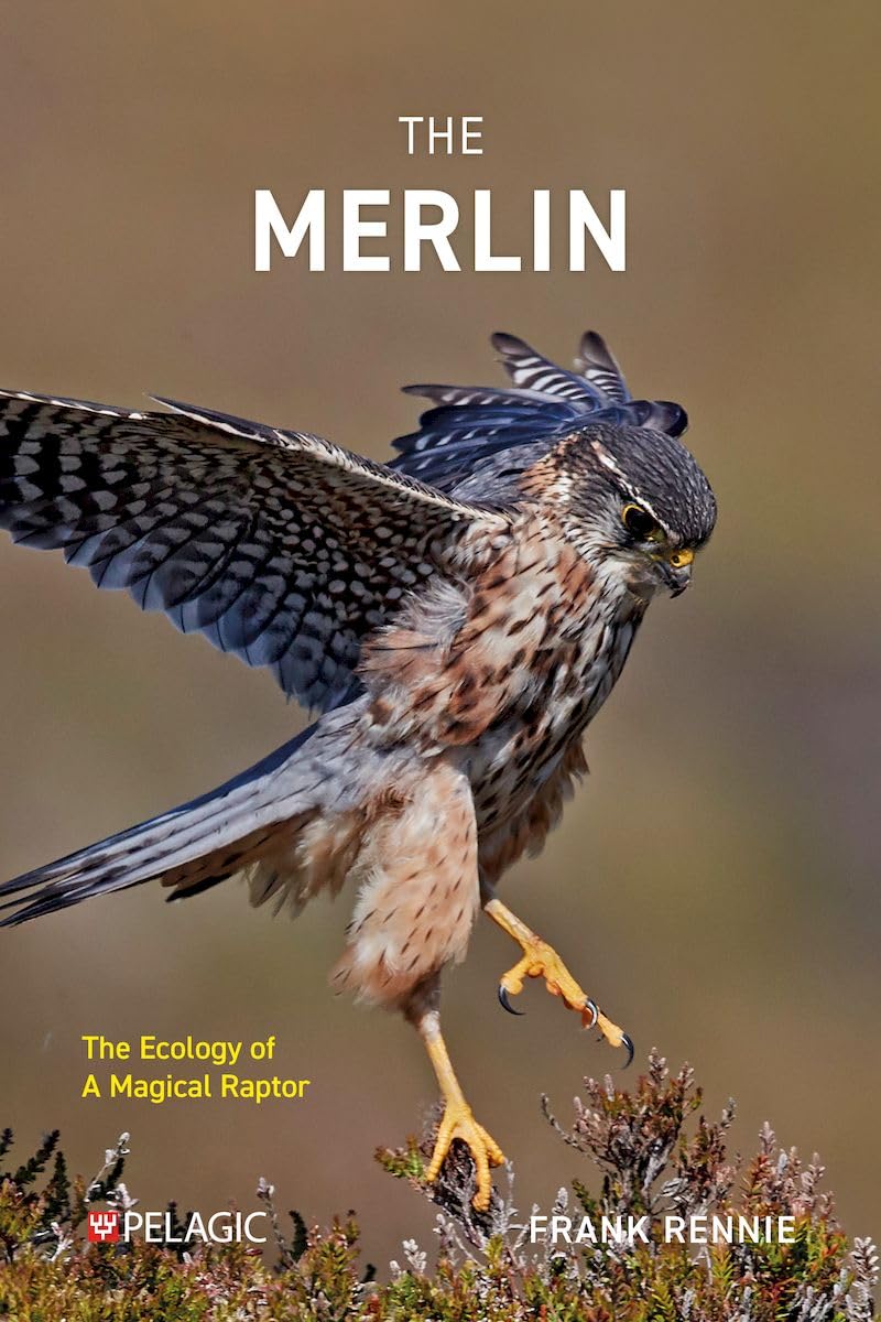 The Merlin: The Ecology of a Magical Raptor (English Edition) baixar o livro de graça
