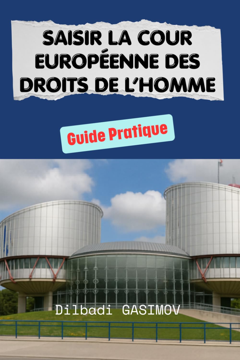 Saisir la Cour Européenne des Droits de l'Homme: Guide Pratique baixar o livro de graça