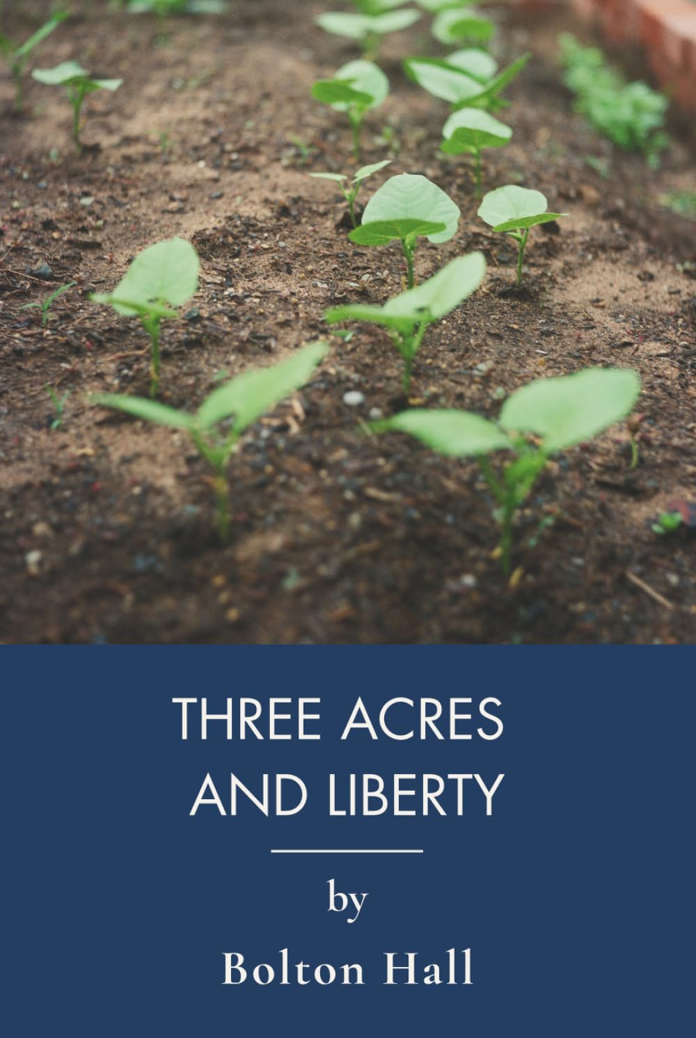 ler totalmente Three Acres and Liberty: Classic Guide to Homesteading and Self Sufficiency (Annotated)
