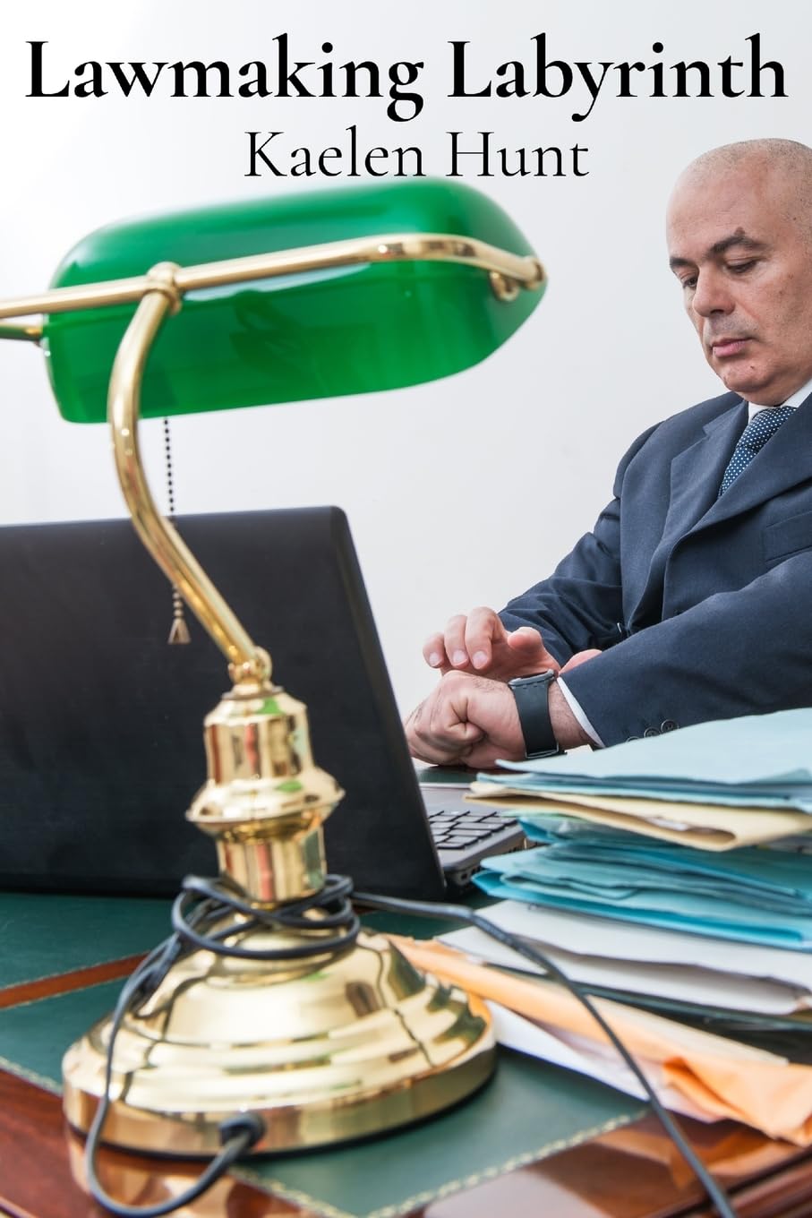 ler totalmente Lawmaking Labyrinth: A Legislative Drafter's Desk Reference for Crafting Effective Statutes