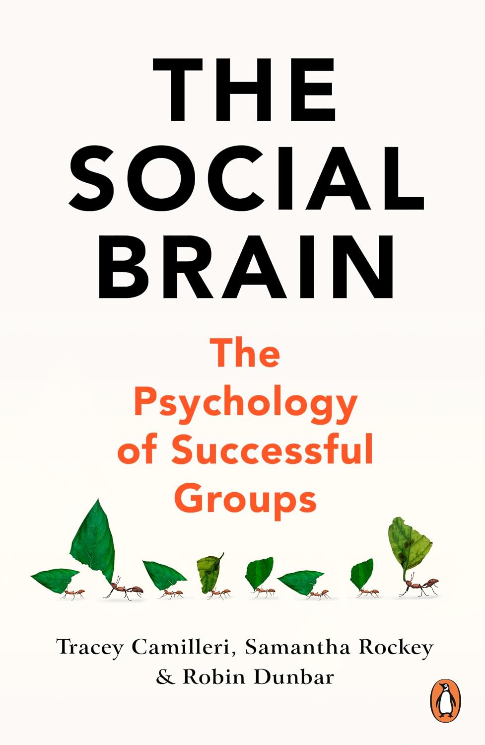 The Social Brain: The Psychology of Successful Groups (English Edition) baixar o livro de graça
