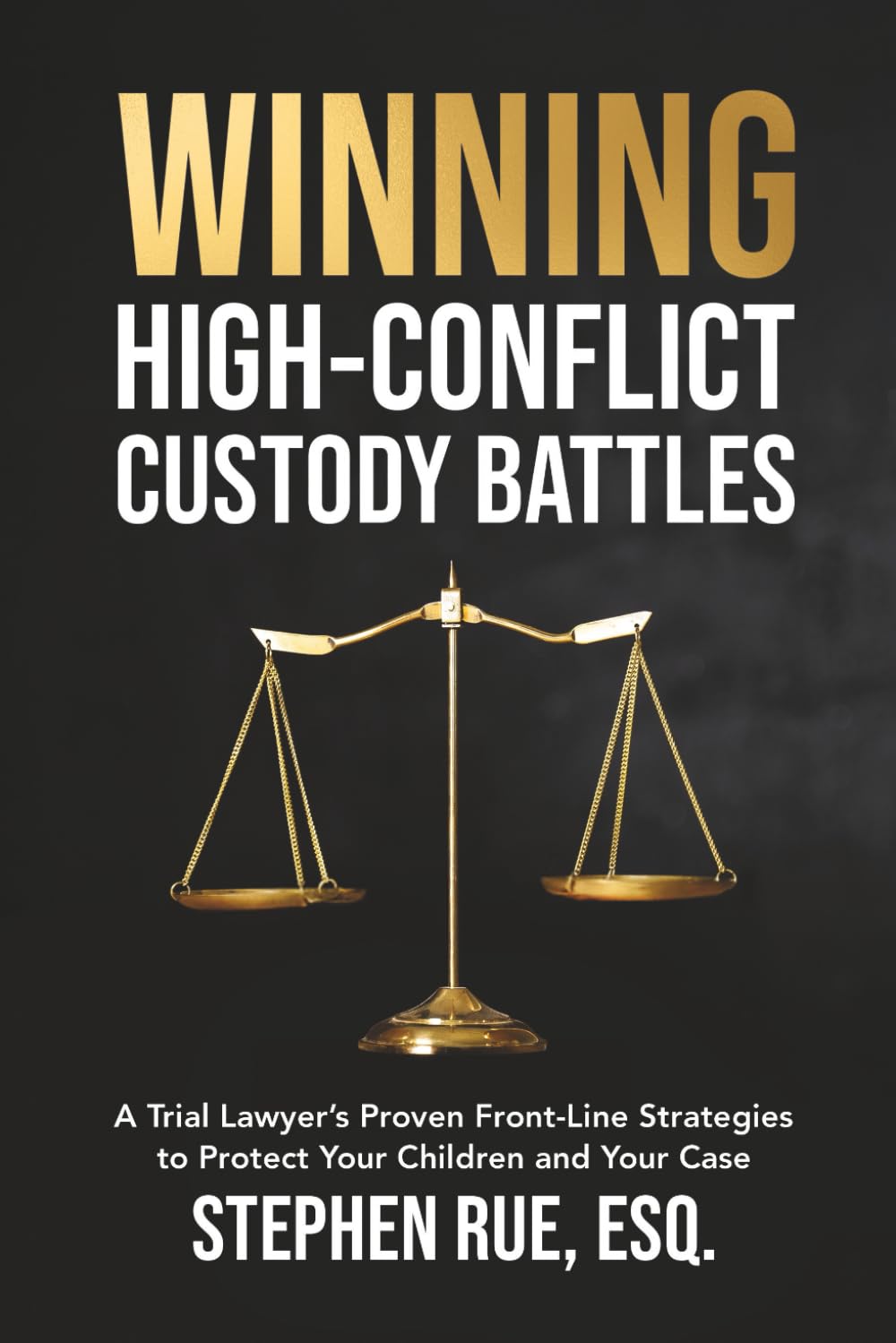 Winning High Conflict Custody Battles: A Trial Lawyer’s Proven Front-Line Strategies to Protect Your Children and Your Case baixar livro de graça