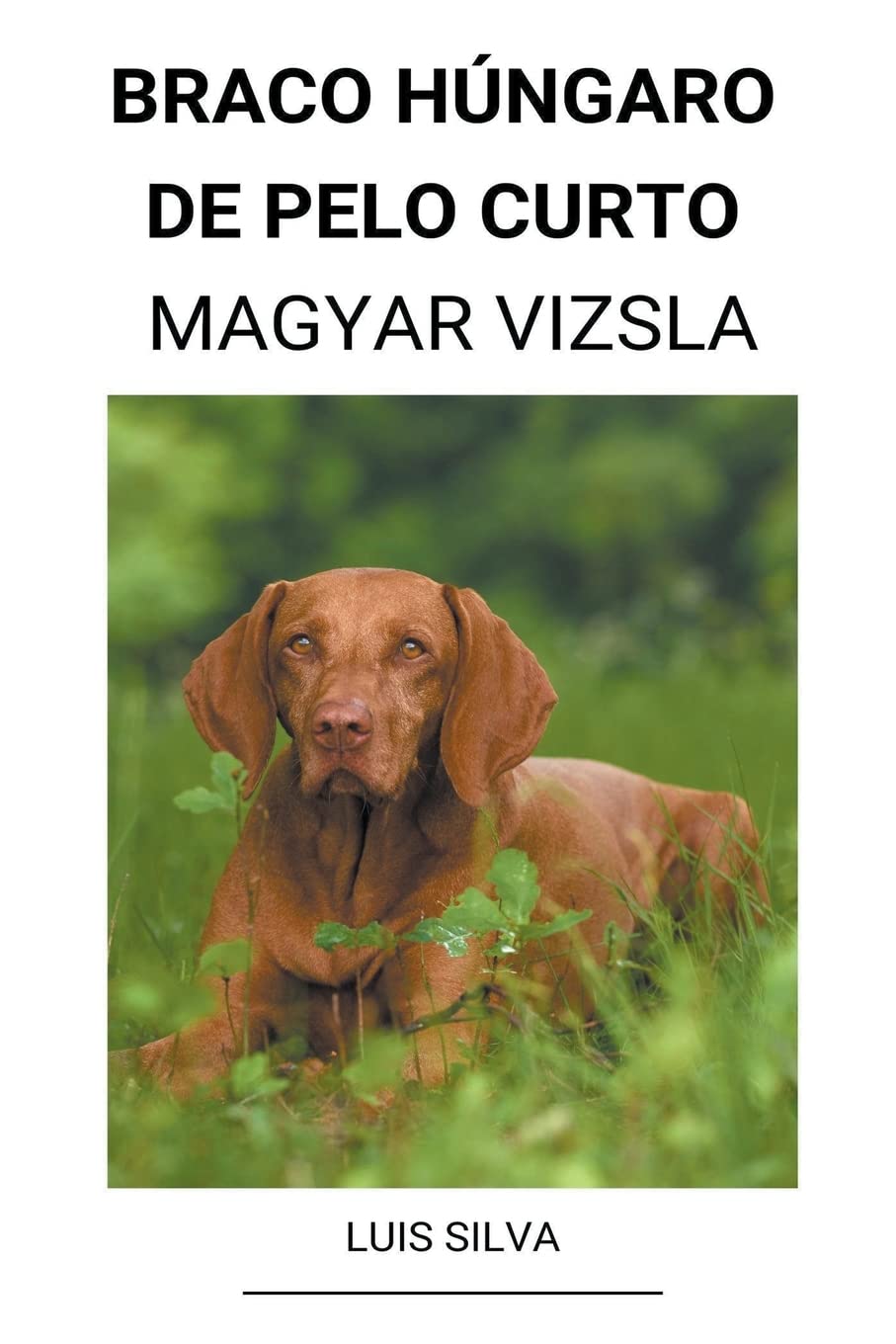 Braco Húngaro de pelo curto (Magyar Vizsla) baixar livro de graça