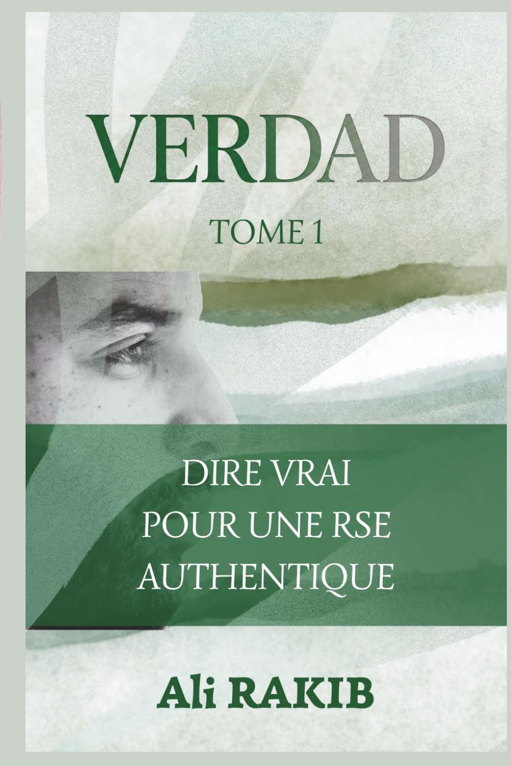 VERDAD: Dire Vrai pour une RSE Authentique (French Edition) baixar o livro de graça