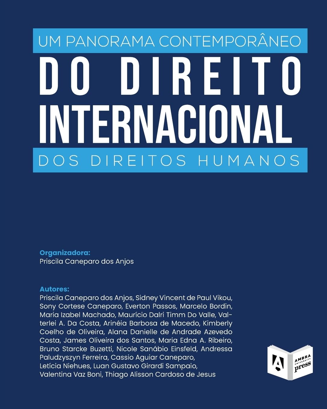 Um Panorama Contemporâneo Do Direito Internacional Dos Direitos Humanos baixar livro de graça