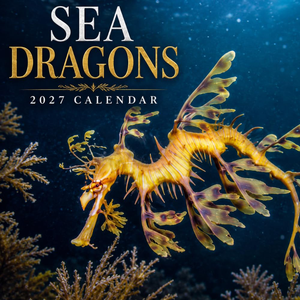 Sea Dragons Calendar 2027: Ocean Wildlife Photography baixar livro de graça