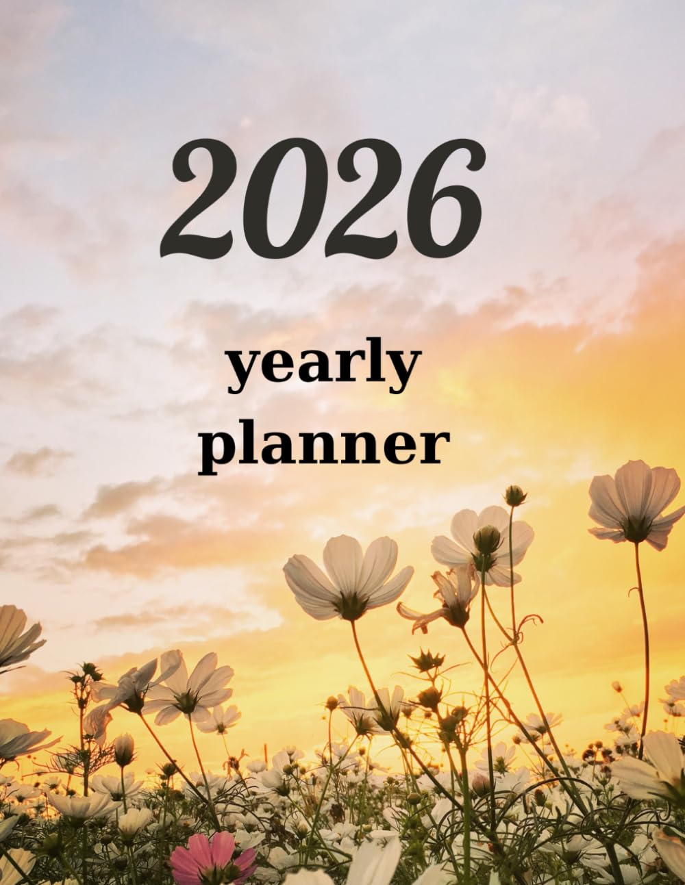 capítulo por capítulo baixar Undated Productivity Planner for Goals, Habits & Weekly Planning
