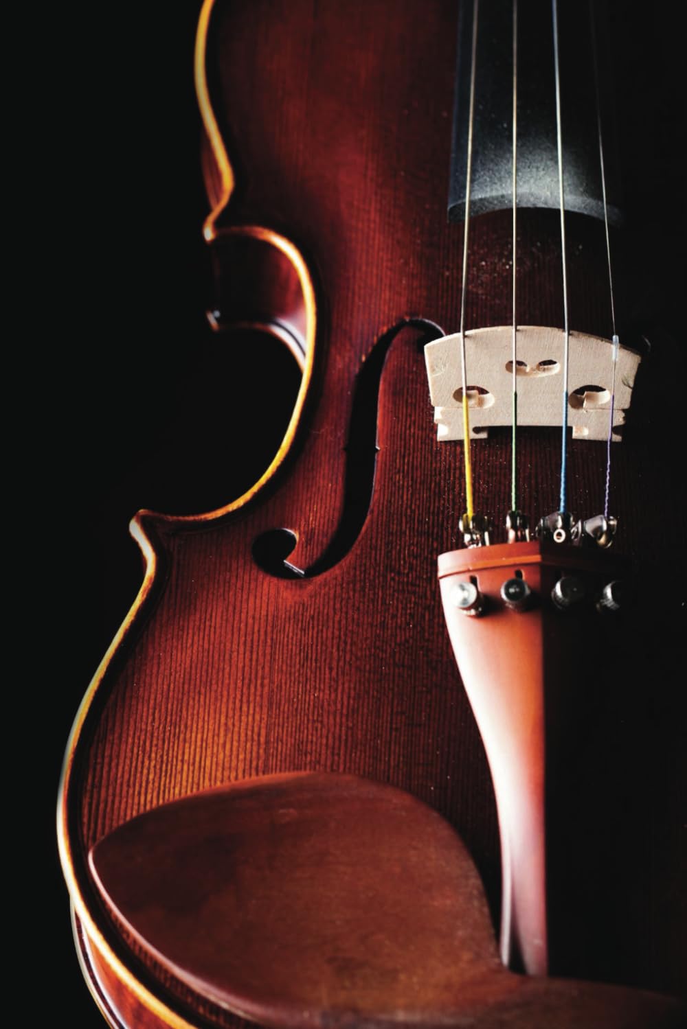 ler totalmente Violin Notebook: A Journal for Violinists, Teachers, and Music Lovers