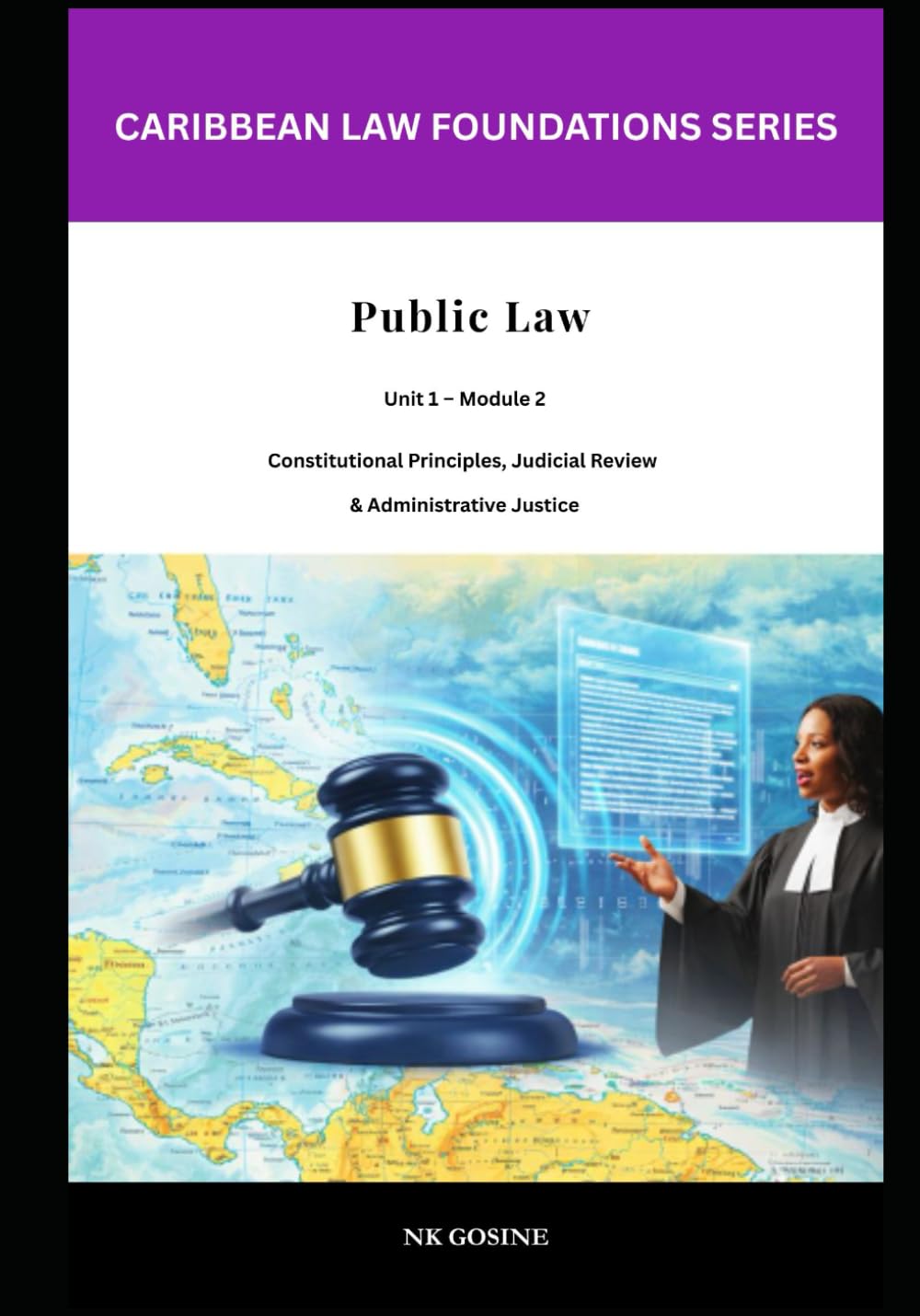 ler totalmente Caribbean Law Foundations – Public Law: Constitutional Principles, Judicial Review and Administrative Justice (Caribbean Law Foundations Series)