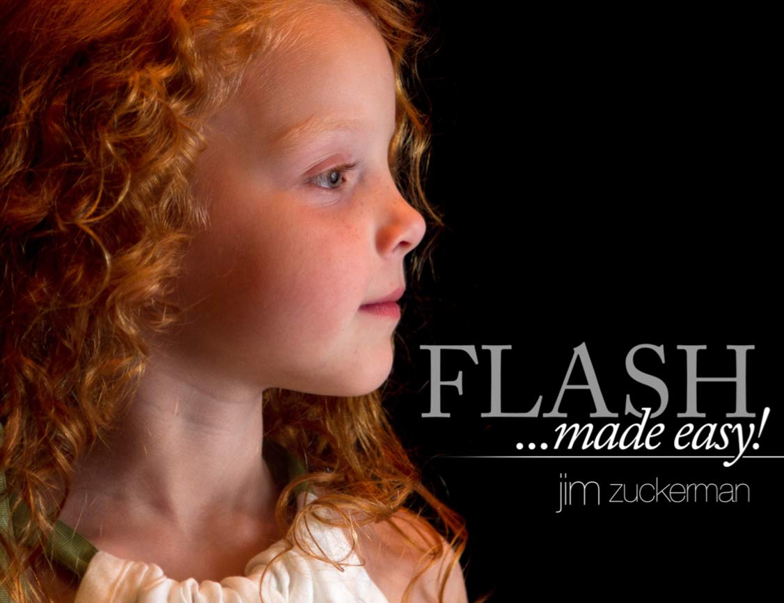 ler totalmente Flash Made Easy (English Edition)