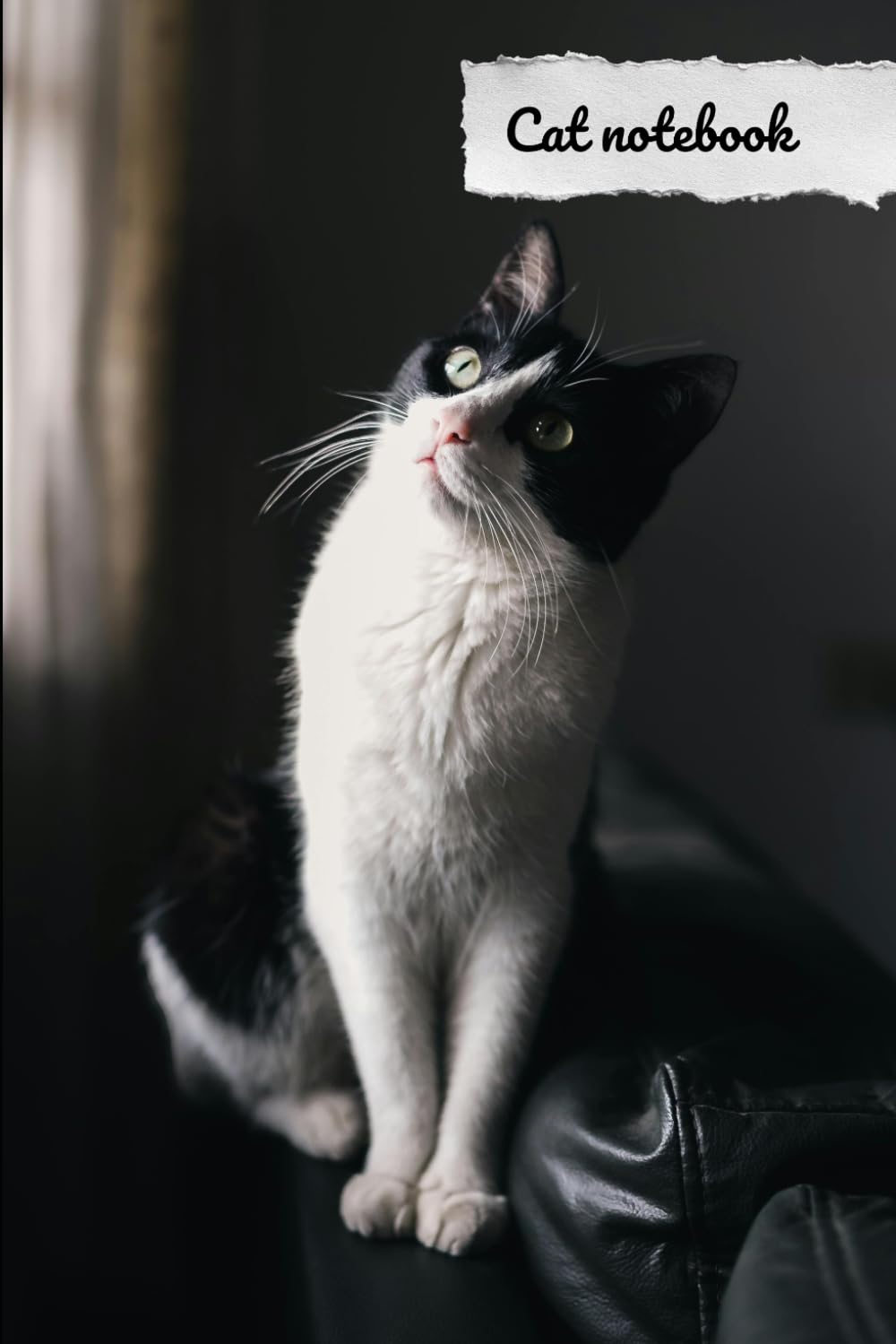 Black and white cat notebook baixar o livro de graça