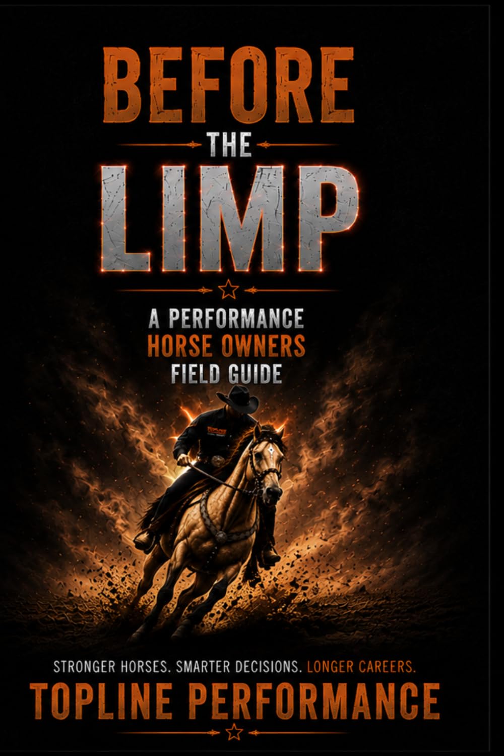 Before The Limp baixar livro de graça