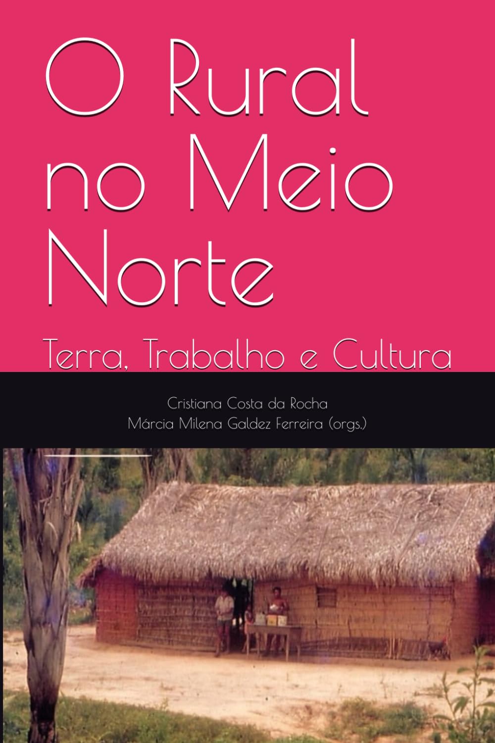 O Rural no Meio Norte: Terra, Trabalho e Cultura (Portuguese Edition) baixar livro de graça
