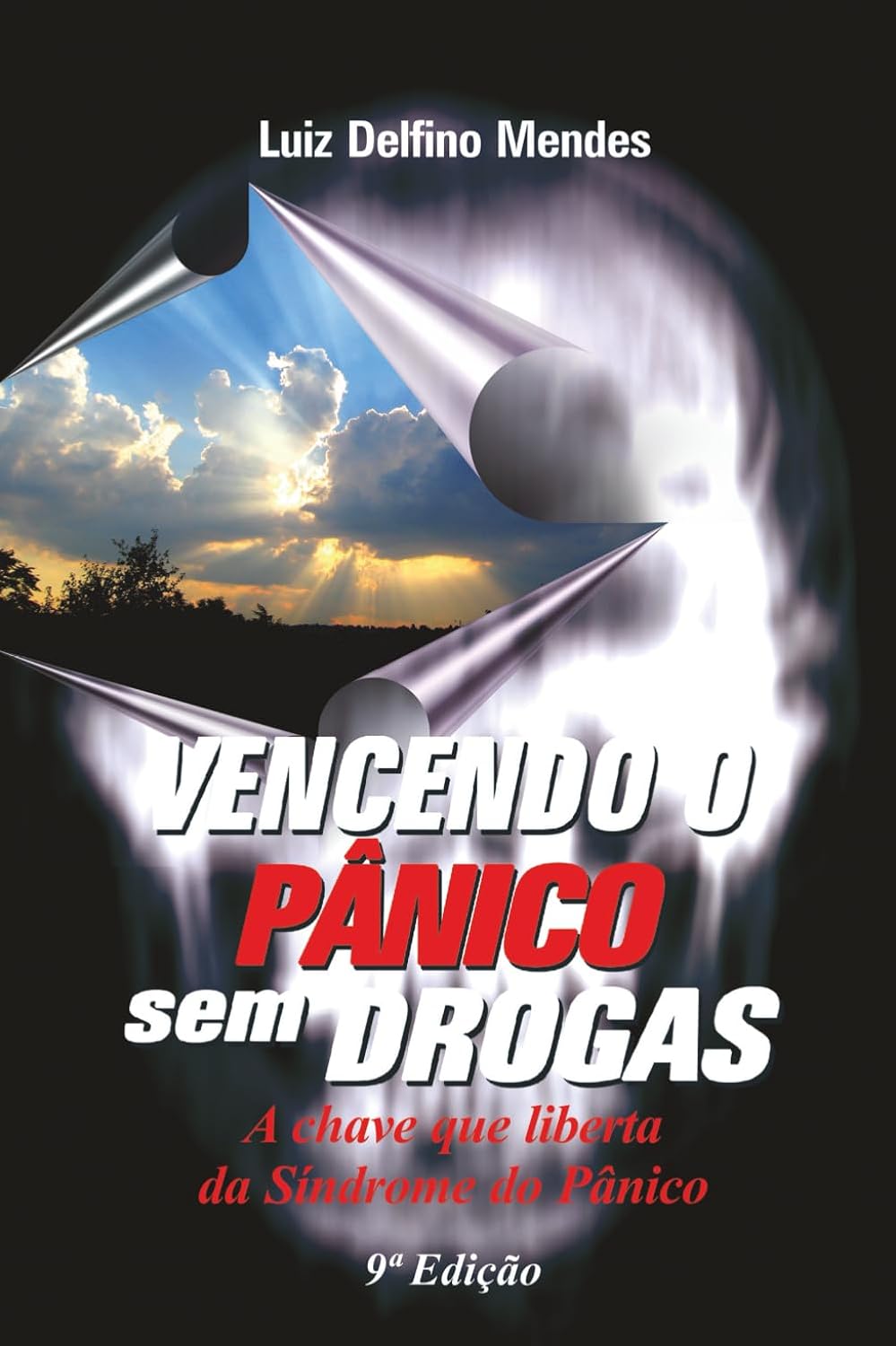 Vencendo o Pânico sem Drogas: A chave que liberta da síndrome do pânico baixar o livro de graça