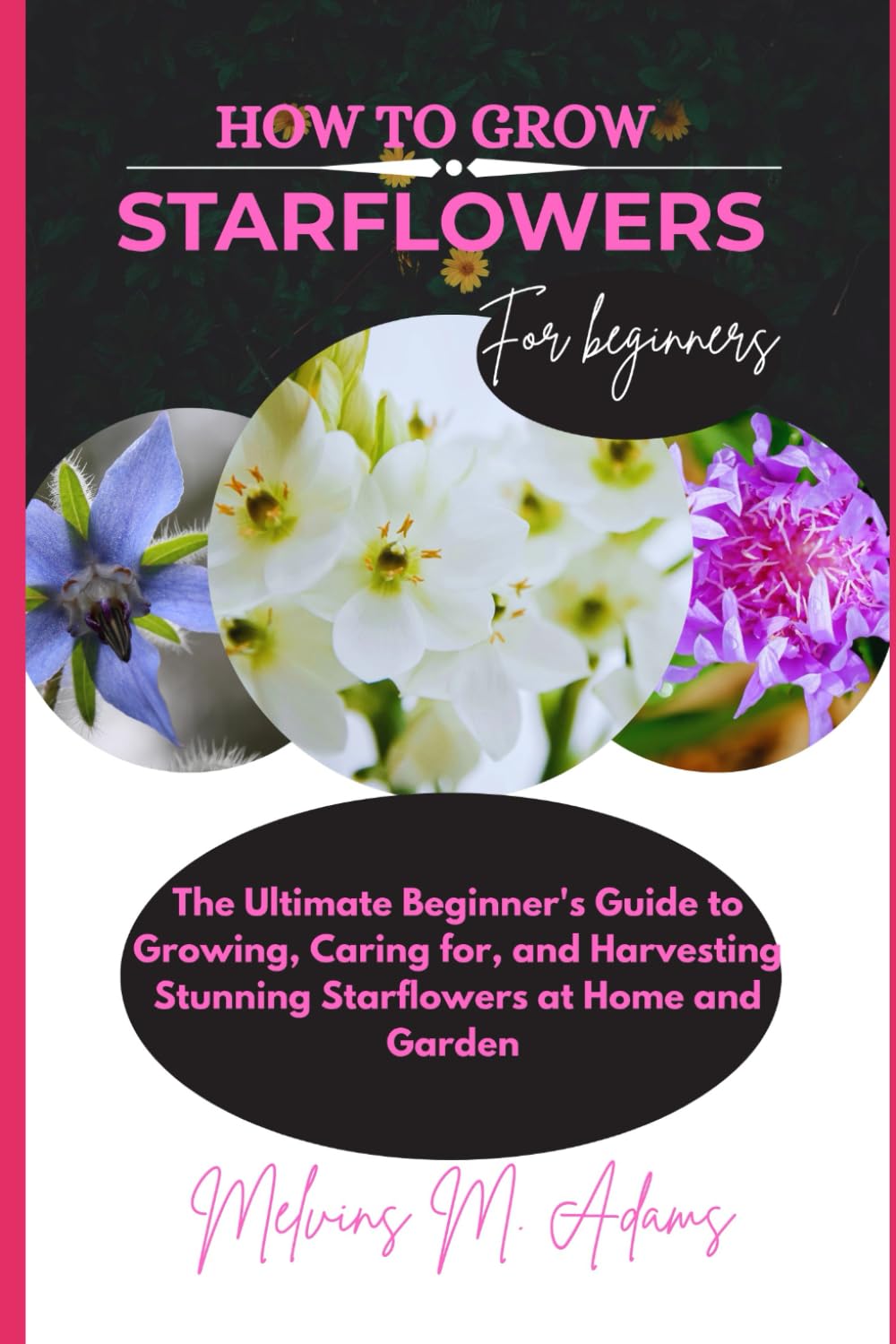 capítulo por capítulo baixar How to grow Starflowers for beginners: The Ultimate Beginner’s Guide to Growing, Caring for, and Harvesting Stunning Starflowers at Home and garden
