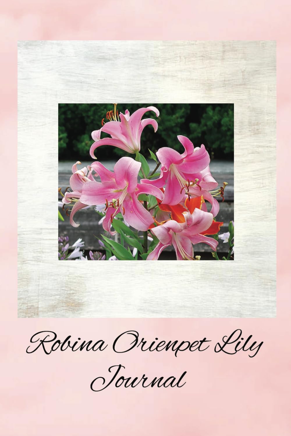 Robina Orienpet Lily Journal: Hybrid of Two Divisions The Asiiatic And The Longiflorium baixar livro de graça
