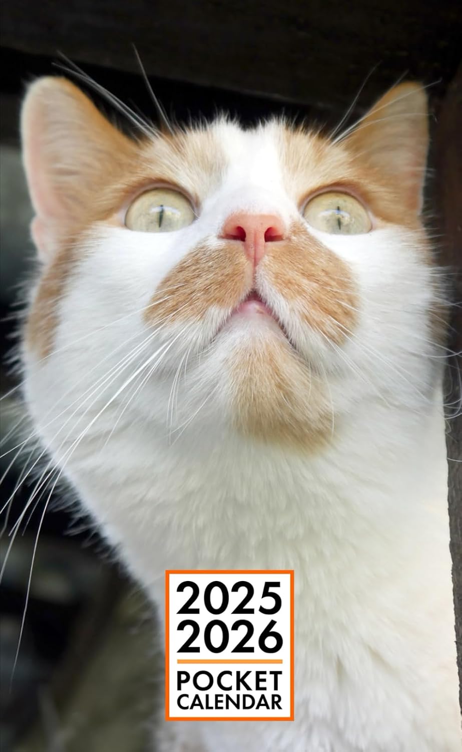 Pocket Calendar 2025-2026 for Purse - Parys Cat v5 | 2 Year Pocket Planner January 2025 - December 2026 | Small Pocket Size 4 x 6.5 | Sketches of Cats in the Middle baixar o livro de graça